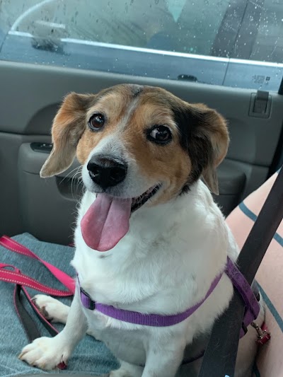 Toothacres Pet Care Center